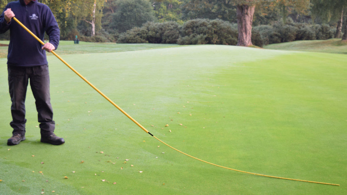 BMS Banana Dew Whipper Dint Golf Solutions