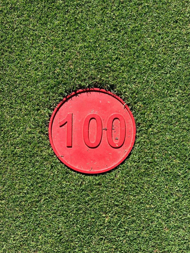 Aluminum Discs – Dint Golf Solutions